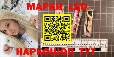 ГАЛЛЮЦИНОГЕННЫЕ ГРИБЫ Канаш