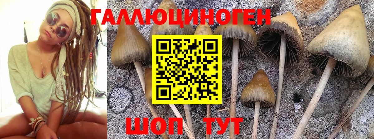 Шахты  Галлюциногенные грибы мицелий  Вход с VPN 